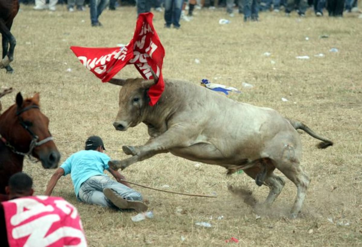 Uno de los toros arremetió con toda su fuerza contra este capotero, quien resultó golpeado. MANUEL SANTIAGO PÉREZ - EL UNIVERSAL -