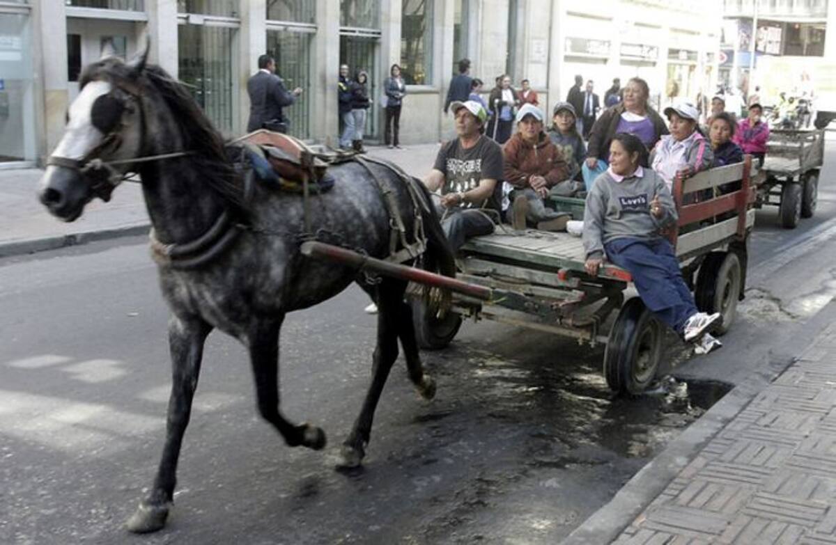 El programa de sustitución de vehículos de tracción animal entra este martes en su etapa final. COLPRENSA