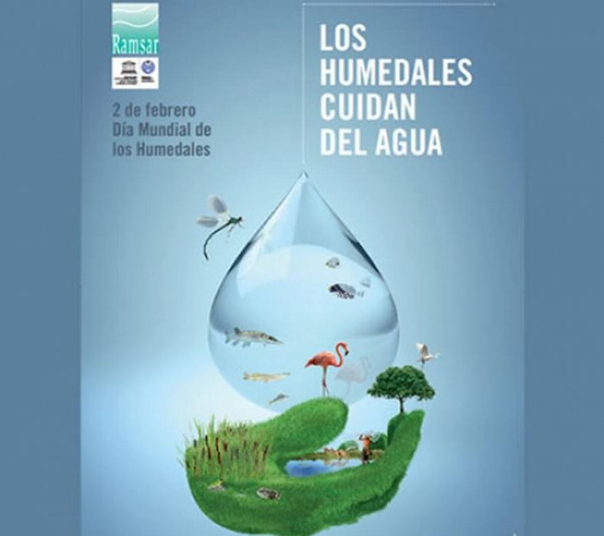 El 2013 ha sido escogido por la Convención Ramsar para invitarnos a reflexionar sobre la importancia que tienen los humedales en el aprovisionamiento de agua dulce para consumo humano.