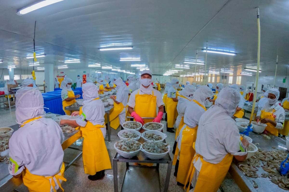¡Negocios! Grupo BIOS adquiere a Antillana y le apuesta a su expansión