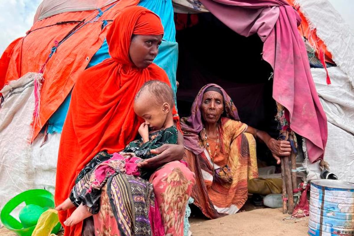 Las crisis alimentarias en África podrían ser más “agudas” en 2023