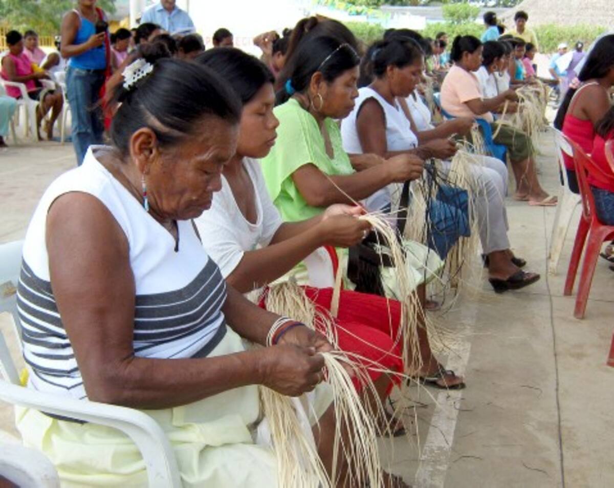 Las mujeres indígenas, desde la más joven hasta la más anciana, se dedican desde tempranas horas del día hasta anochecer a hacer trenzas en caña flecha.