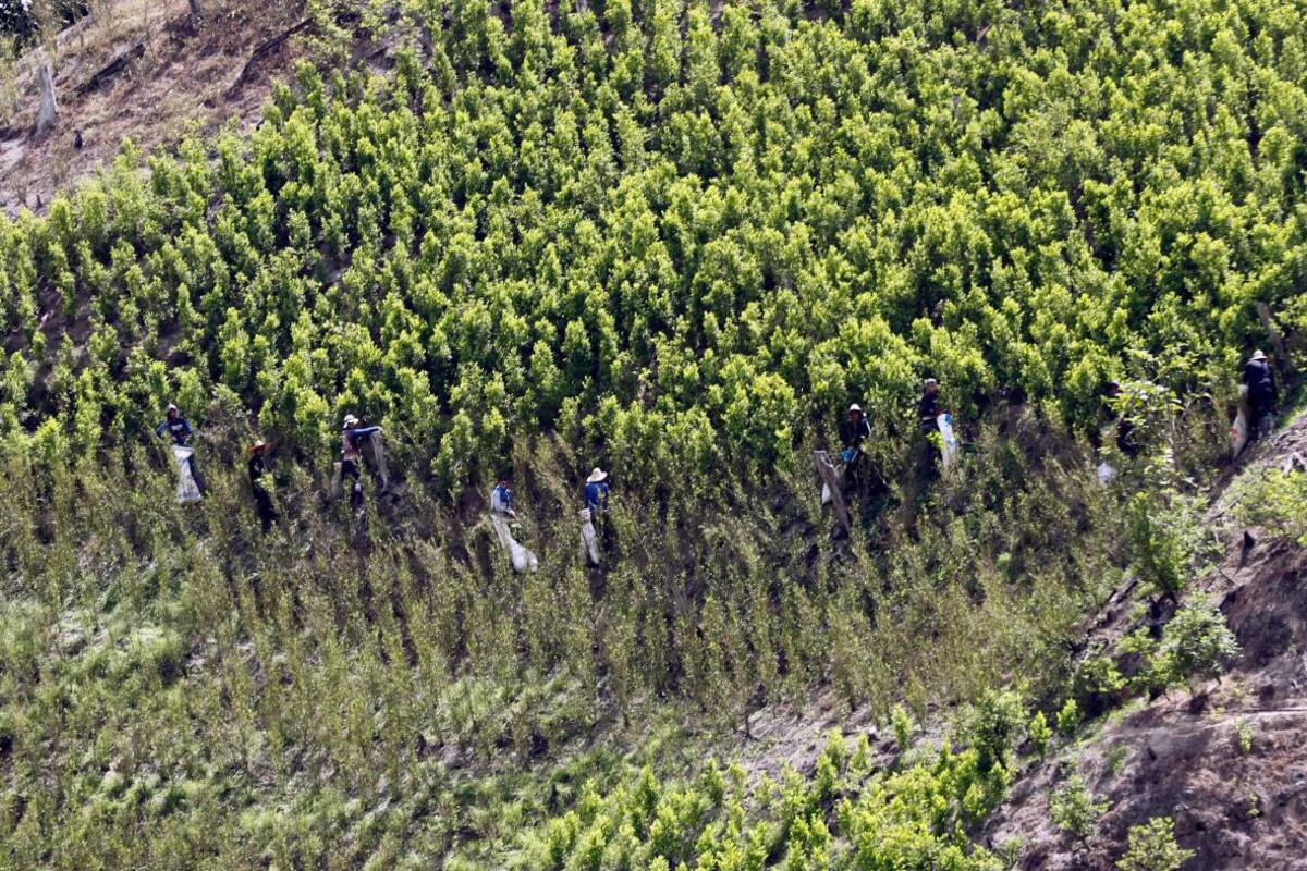 Colombia, una paz al borde del abismo