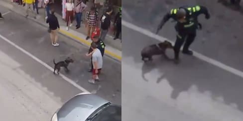 La pena que podría pagar el policía que le quitó la vida a un perro en Antioquia