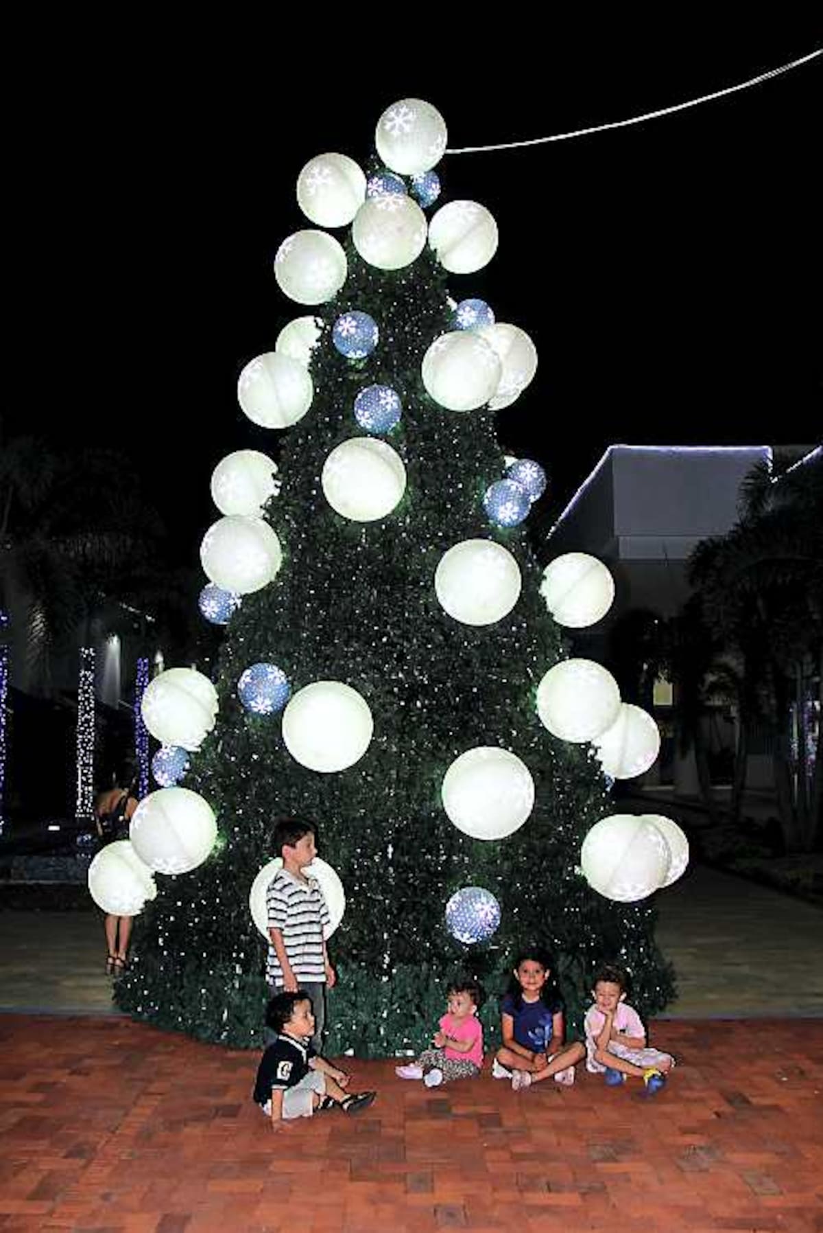 El árbol navideño.
