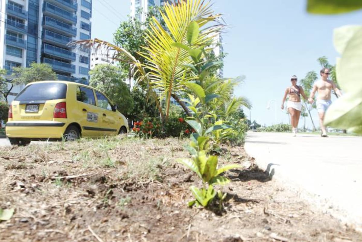 JULIO CASTAÑO-EL UNIVERSAL