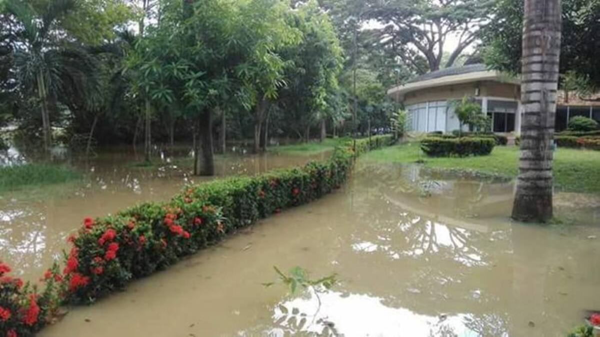 El río Sinú inundó el parque lineal más largo de Suramérica. CORTESÍA.