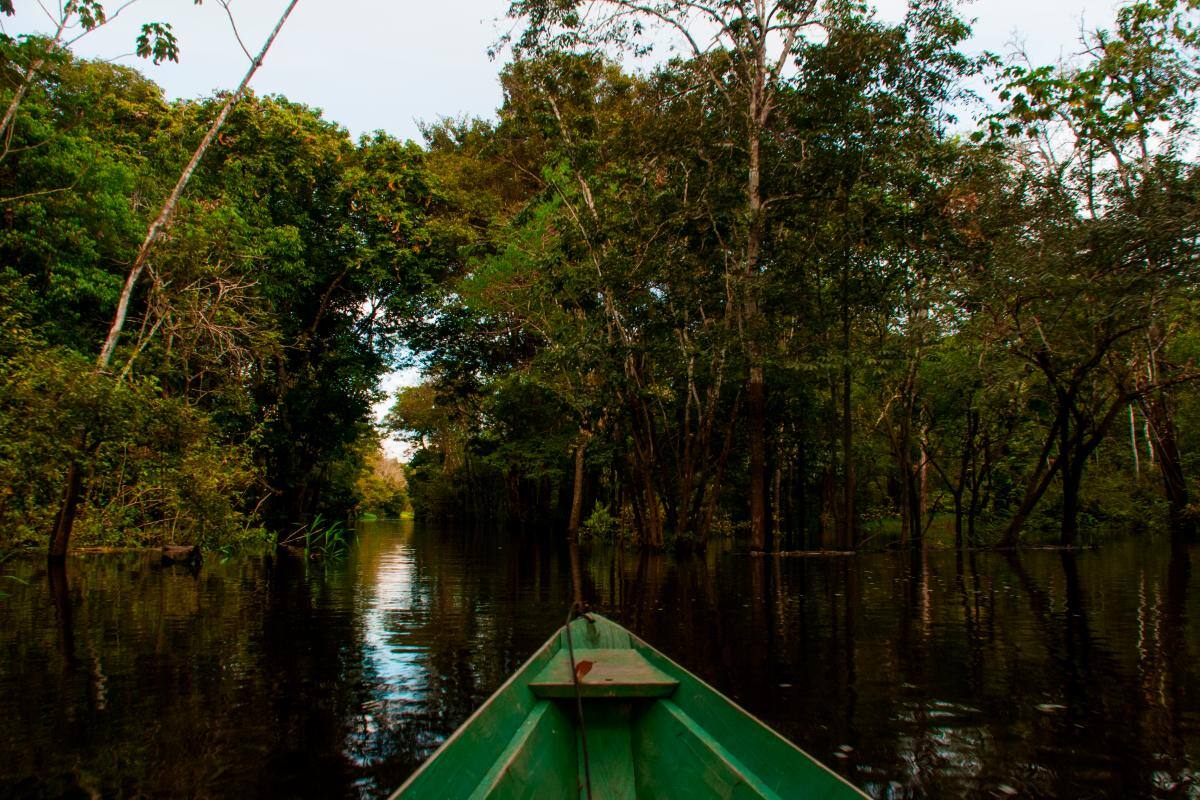 Brasil: Indígenas son los que más cuidan la selva nativa