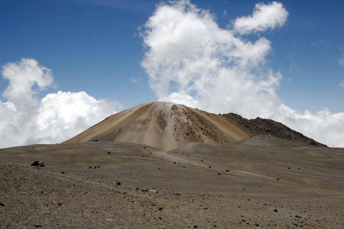 Parque Nacional Los Nevados fue declarado sujeto de derechos