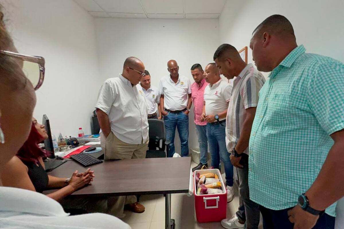 Así es el impulso para el mercado de pulpas frutales naturales en Santa Rosa