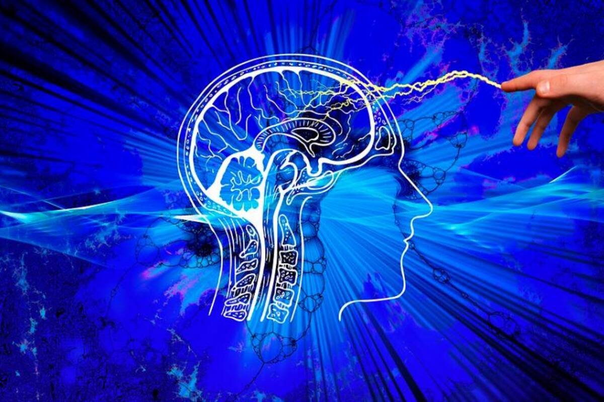 Termina el año lo mejor posible: cincos consejos para tener un cerebro sano