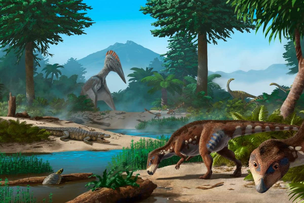 ¿Dinosaurios enanos? Así era una nueva especia descubierta por científicos