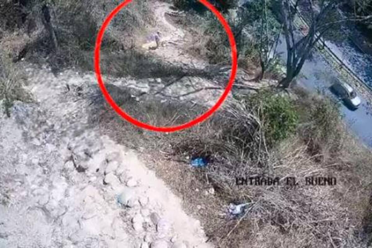 El indignante video que mostraría a hombre provocando incendio en Santander