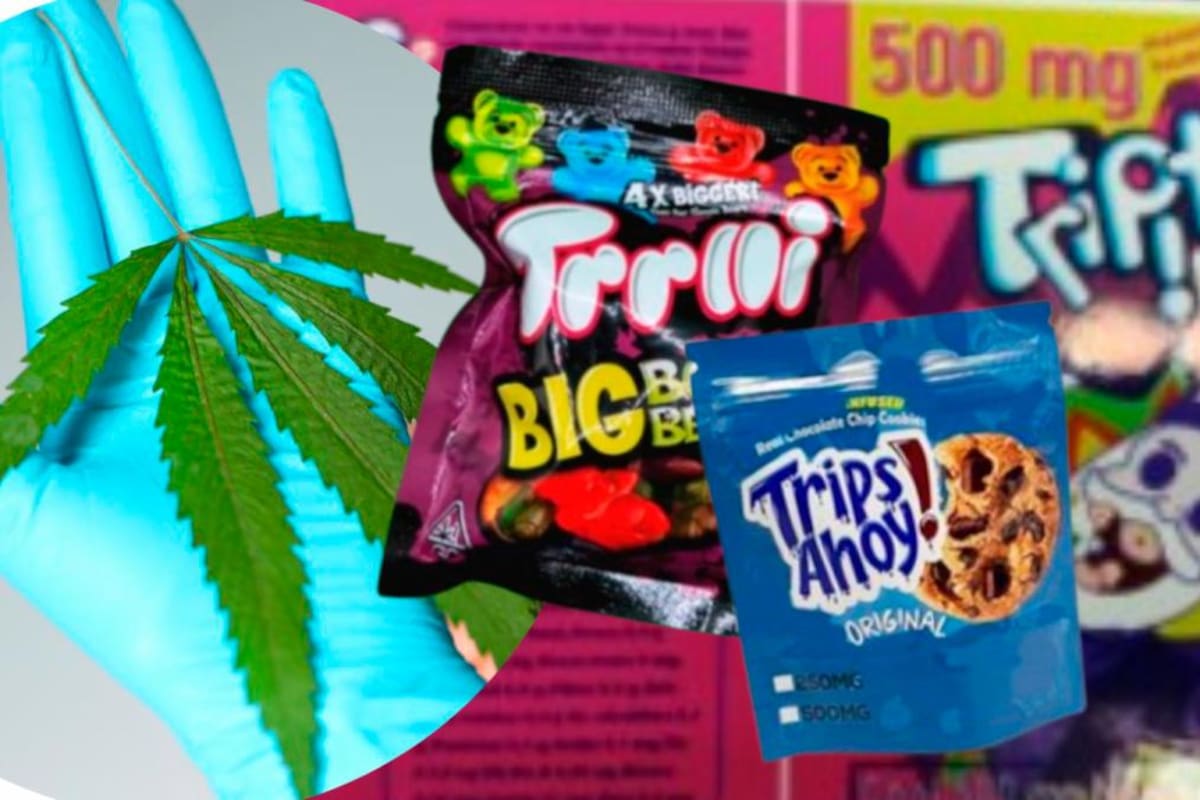 ¡Atención! Invima alerta por gomitas y galletas de chocolate con marihuana