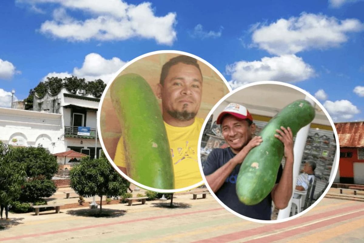“Ese pepino gigante es mío”: polémica por hortaliza que se hizo viral
