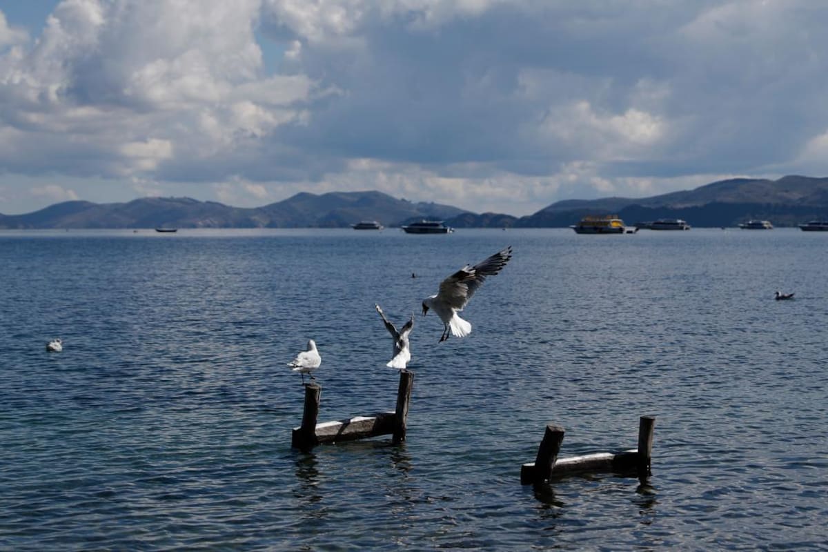 Limpian lago Titicaca en Día de la Madre Tierra en Bolivia