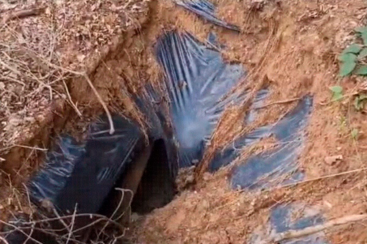 Video: encuentran cueva donde disidencias de Mordisco ocultaban secuestrados
