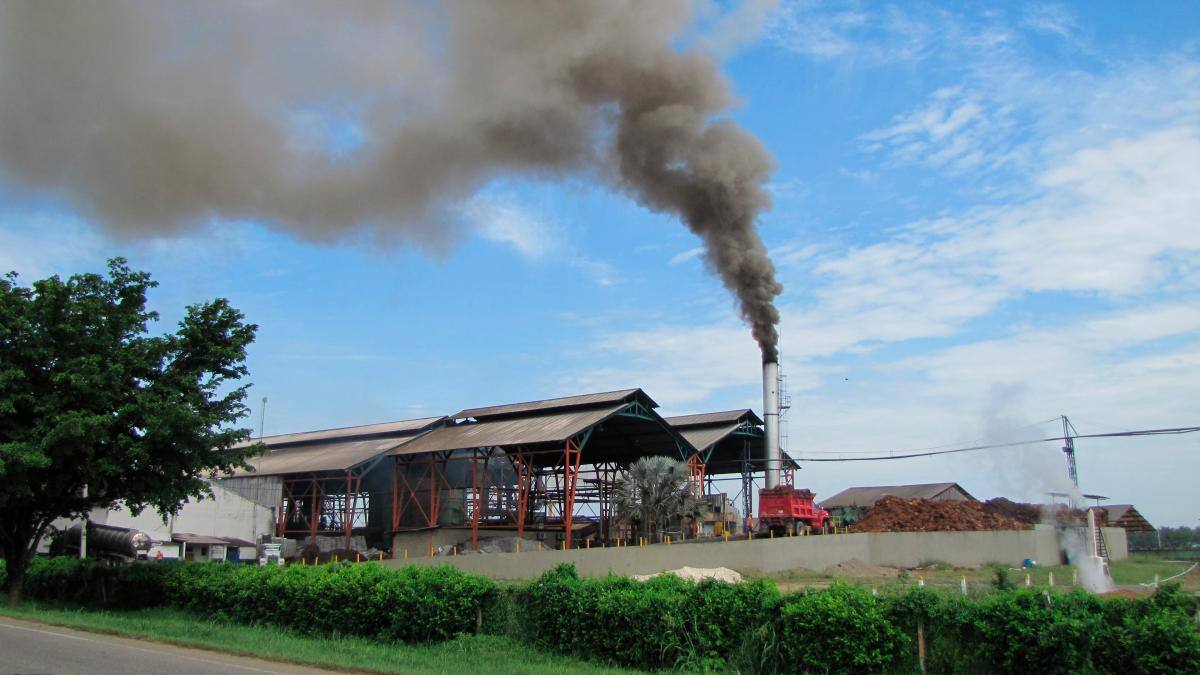 Cerca de 120 empleos directos se crearon con la Planta Extractora de Aceite de Palma de Marialabaja. // HFA - EL UNIVERSAL