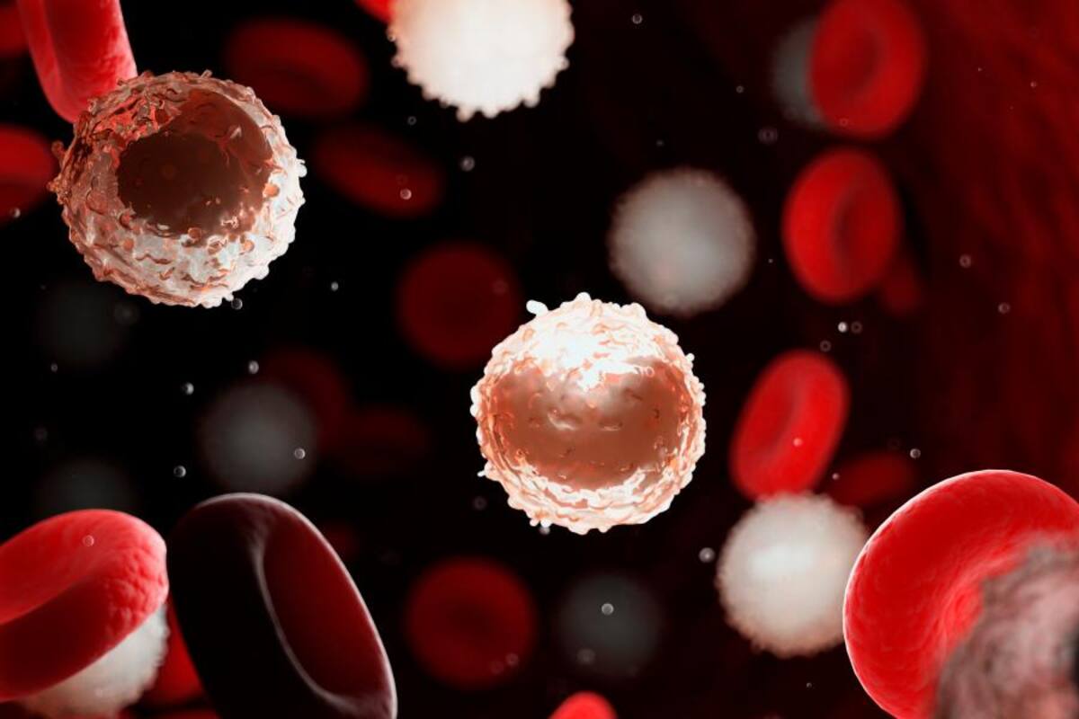 Día de concienciar sobre la leucemia mieloide aguda