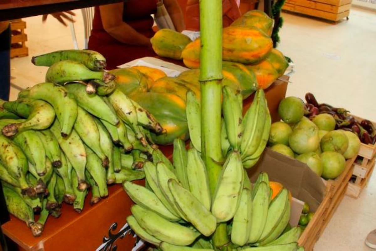 Campesinos de Bolívar donan alimentos para damnificados en Cartagena