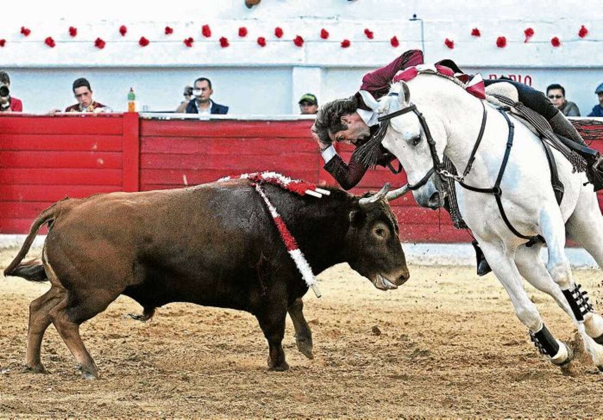 Hermoso de Mendoza tiene 40 corridas firmadas, una vez, claro está, salga de los compromisos que tiene contraídos, tras dejar Manizales, en Popayán, Medellín, Bucaramanga y San Cristóbal, Venezuela.