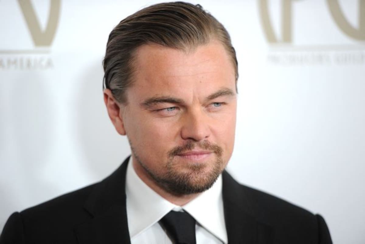 Leonardo DiCaprio. AFP CARL COURT