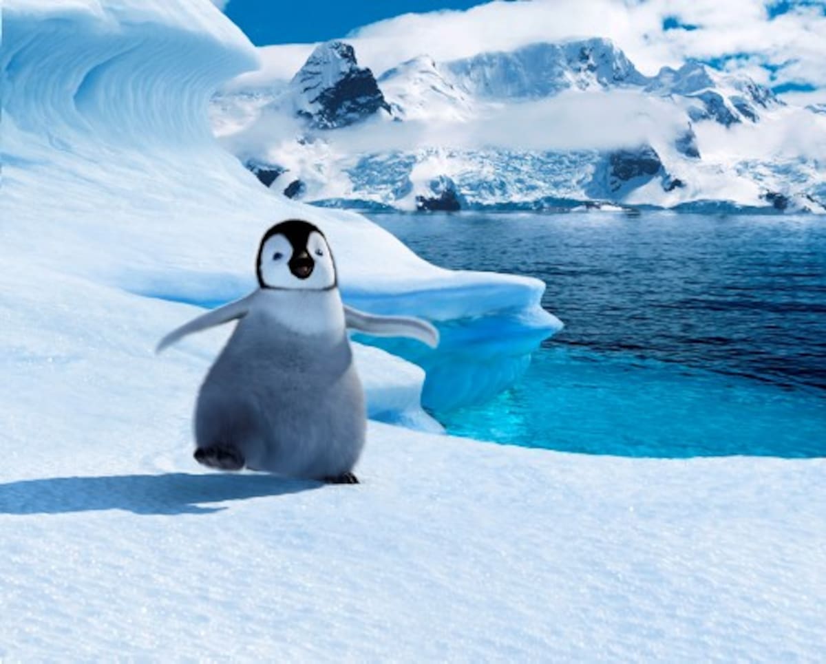 Cartoon Network presentará la película, “Happy Feet”: El pingüino, destacando temas ecológicos Cortesía/Mediática