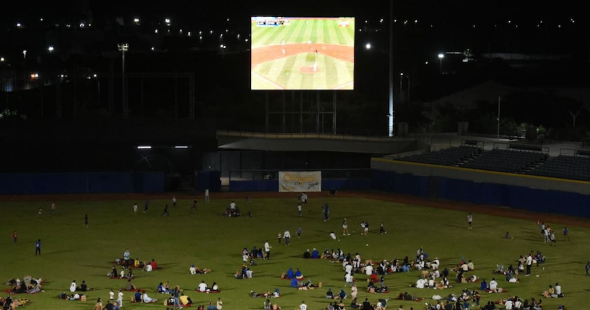 With ‘Picnic en el Diamante’ Caimanes will support the Colombian National Team