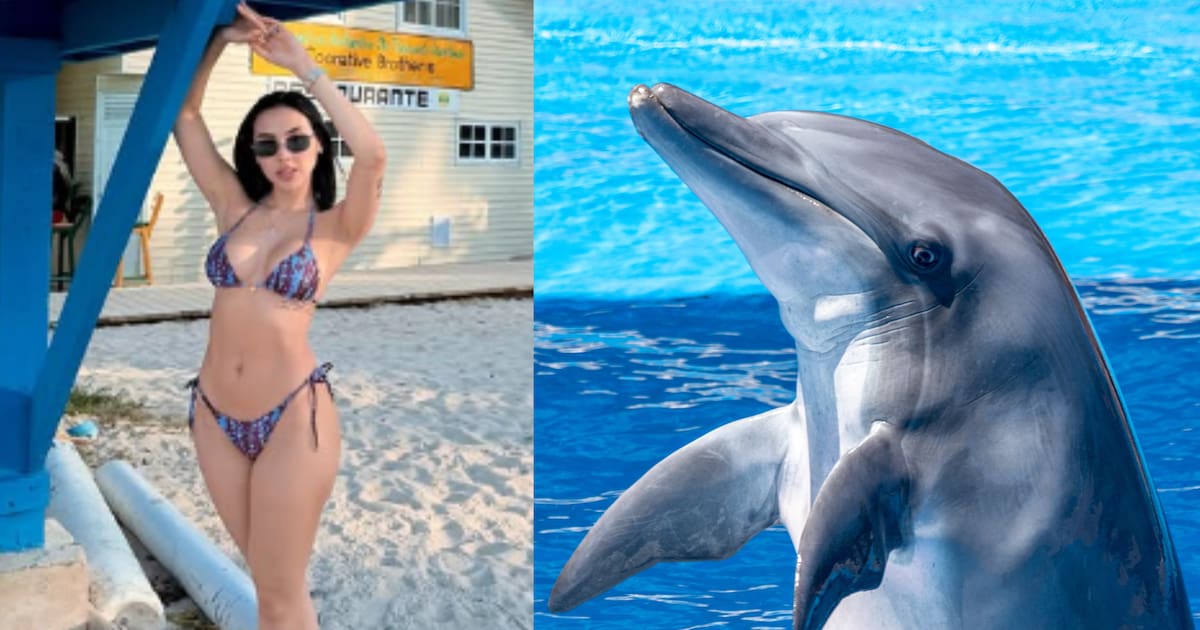 Aída Victoria Merlano says she is "therian" and identifies as a dolphin