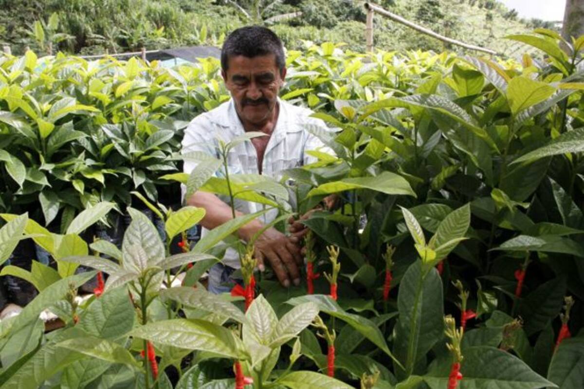Foto ilustración. COLPRENSA