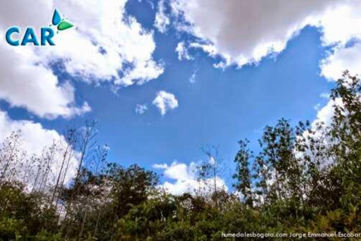 Petro controvierte otra vez con Peñalosa por la reserva Van der Hammen