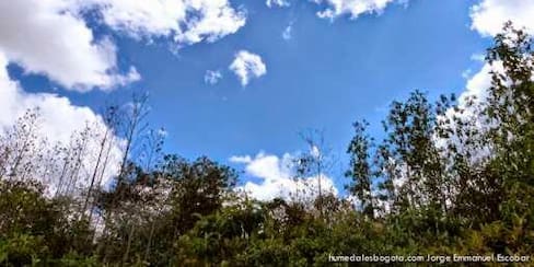 Petro controvierte otra vez con Peñalosa por la reserva Van der Hammen