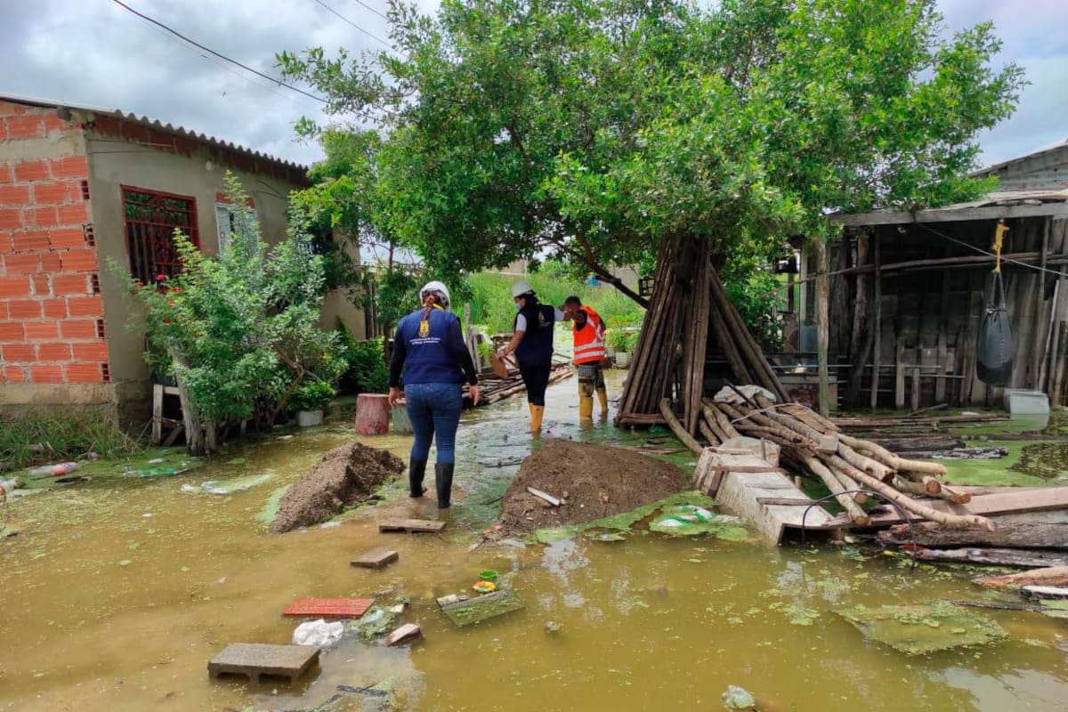 Hay 93% más de posibilidades de que se presente Fenómeno de la Niña