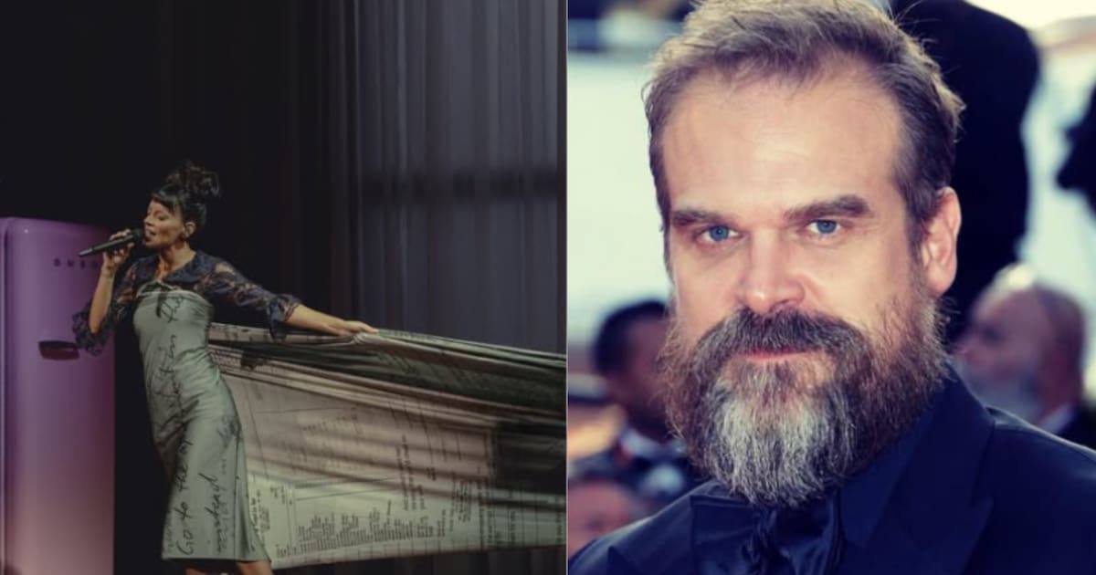 Lily Allen's Dress That Would Reveal David Harbour's Infidelity