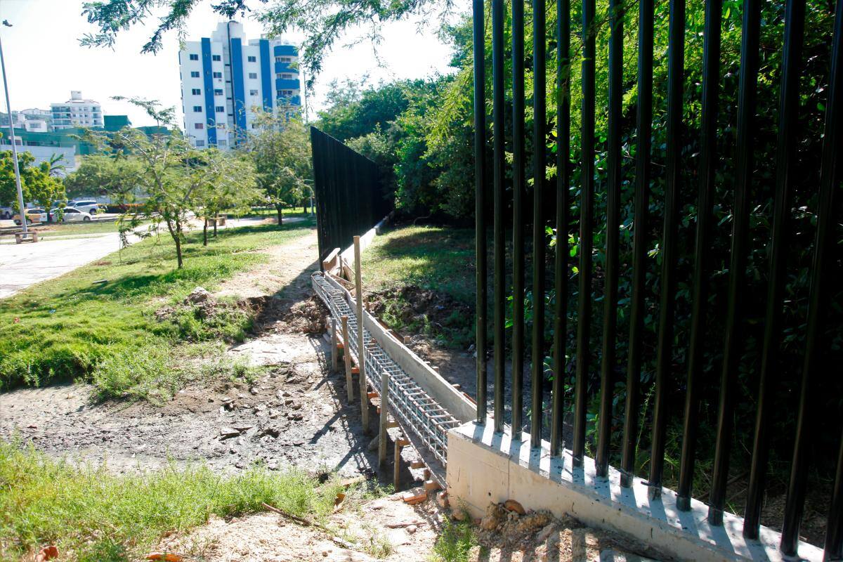 Más de 1.000 metros lineales de cerramiento se adelantan en el manglar aledaño al caño Bazurto y Las Quintas. .