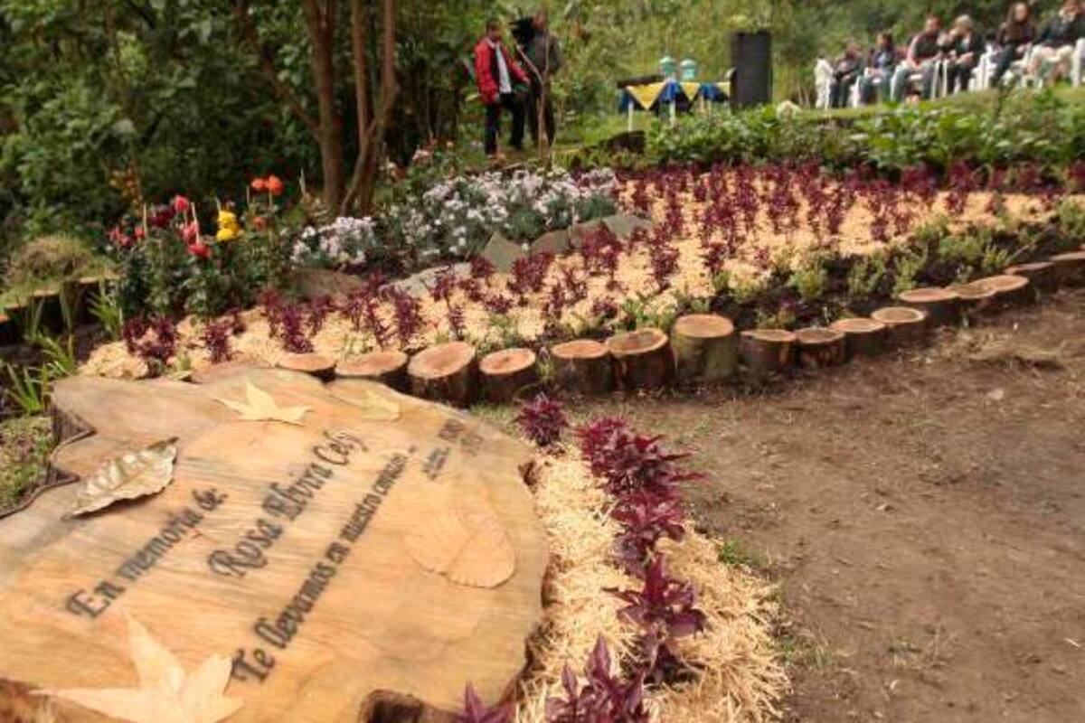 Investigan presunta violación de dos jóvenes en el Parque Nacional de Bogotá