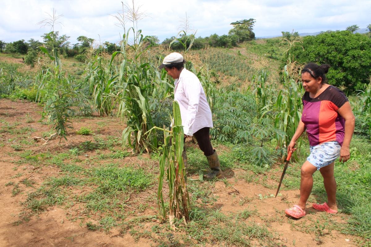 Partido Comunes radica proyecto para Plan Nacional de Salud Rural