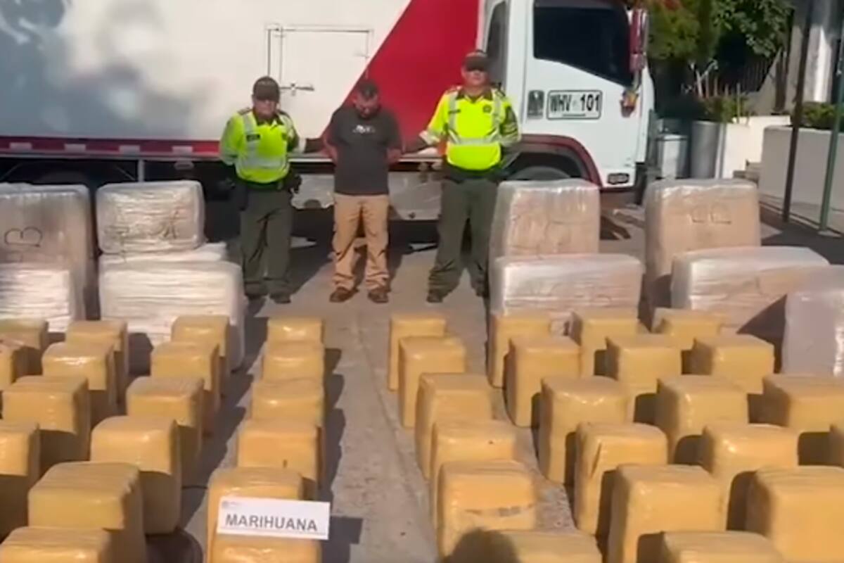 Incautan una tonelada de marihuana que iba camuflada en un camión de pollos