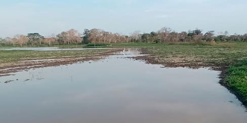 Piden intervención de caño Mono, en Margarita, para evitar inundaciones