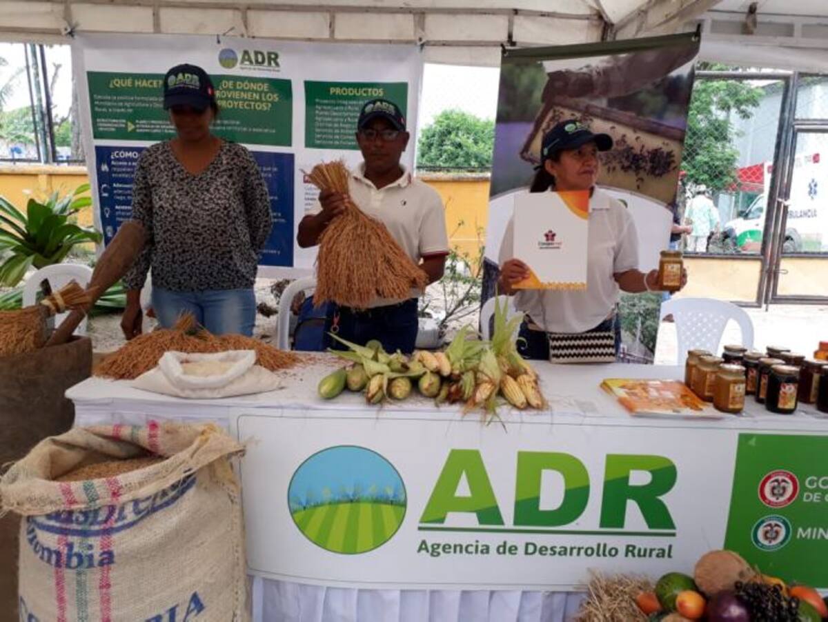 Además de la maquinaria, los arroceros recibirán acompañamiento técnico y talleres de fortalecimiento empresarial para sus proyectos. Lila Leyva