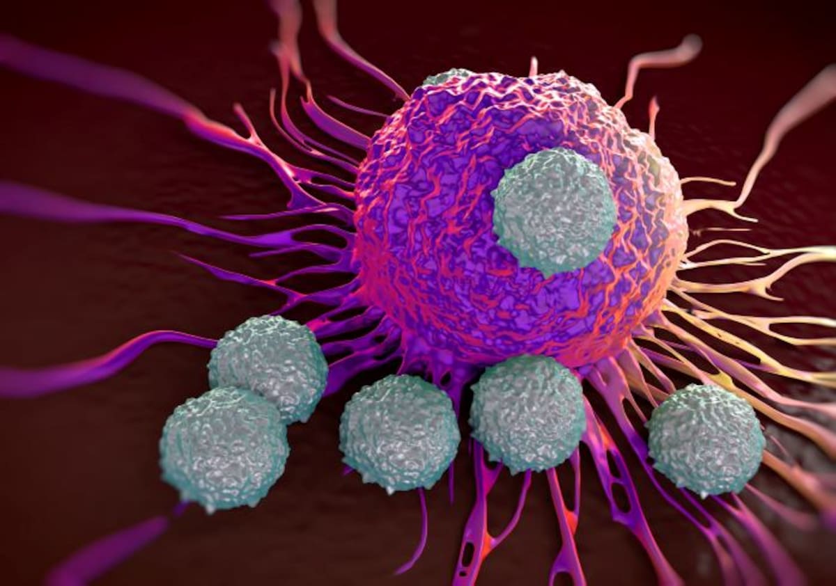 La hepatitis es una inflamación del hígado que puede reducirse por sí sola o evolucionar complicando la salud de las personas. 123RF