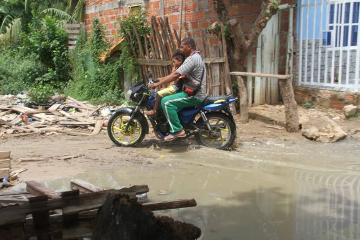 Jorge Puerta - El Universal