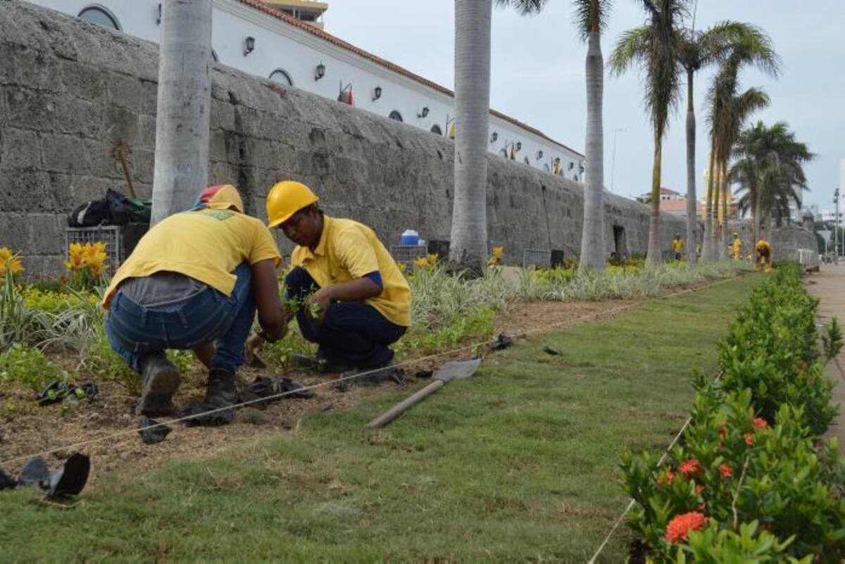 Los jardines contiguos a las murallas son intervenidos por la ETCAR entre los baluartes de San Ignacio y de La Contaduría. EL UNIVERSAL