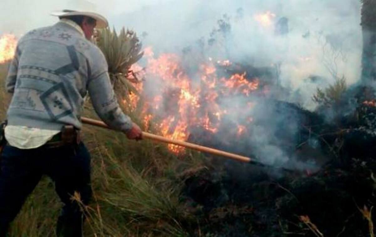 En Atlántico, Bolívar, César, Guajira, Magdalena y Sucre, se presentan incendio forestales. COLPRENSA