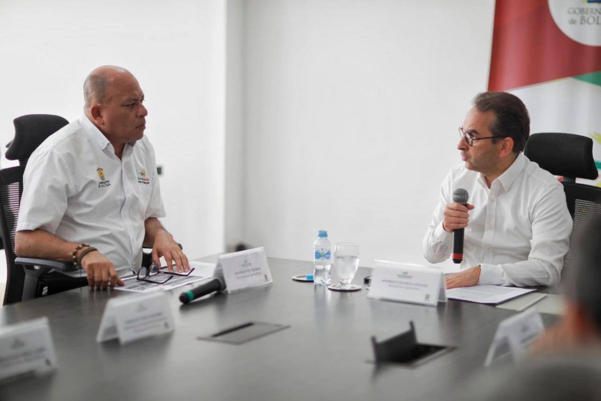 MinAgricultura impulsará la recuperación del aguacate antillano