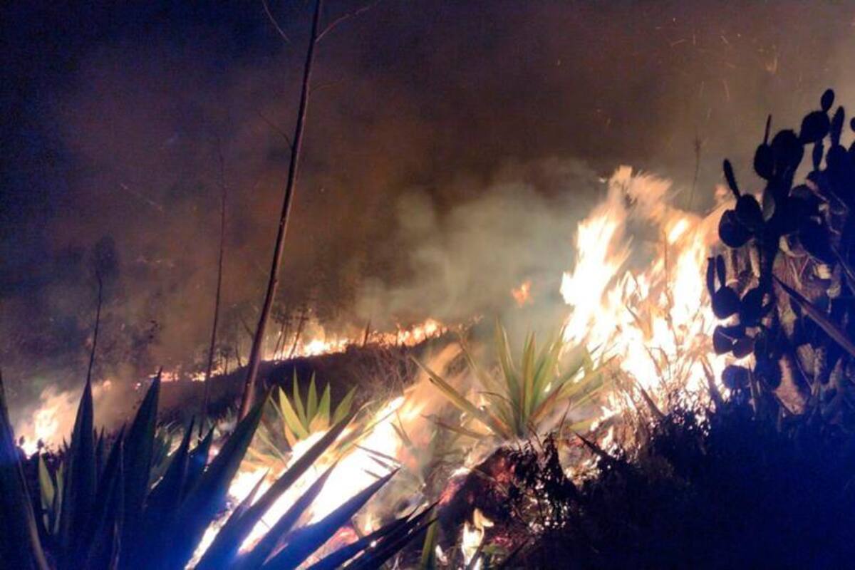¡Incontrolable!: Incendio forestal en el páramo Guantia, en Boyacá