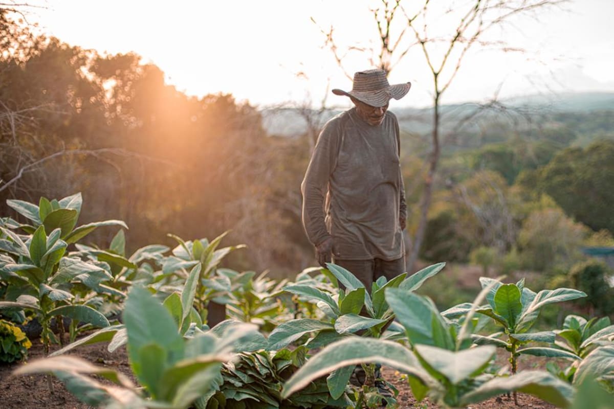 Región Caribe y Magdalena Medio: prioridades en la reforma agraria
