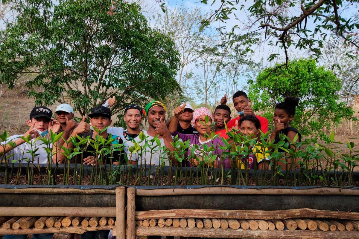 La importancia de los manglares en Cartagena: 3 razones para preservarlos