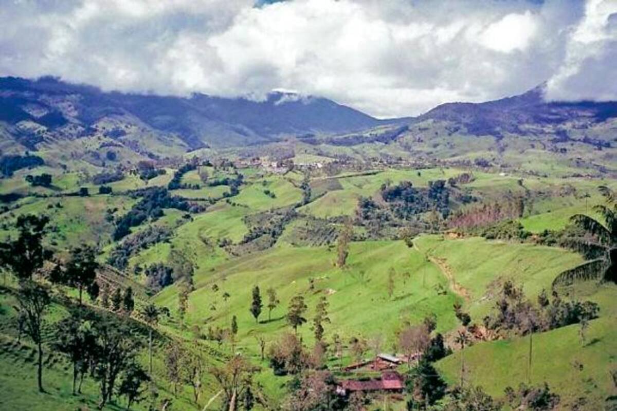 Piden audiencia pública para tramitar licencia ambiental en proyecto en Jericó