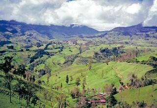 Piden audiencia pública para tramitar licencia ambiental en proyecto en Jericó